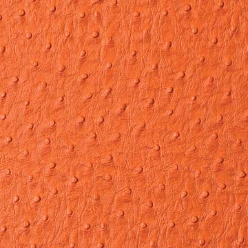 emu-orange-faux-ostrich-leather – Harris & Stearns